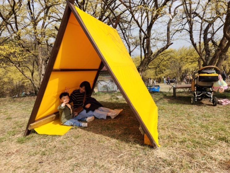  이천 산수유꽃축제 4살 아이랑 후기 (주차, 기념품, 축제끝나도 괜찮아)