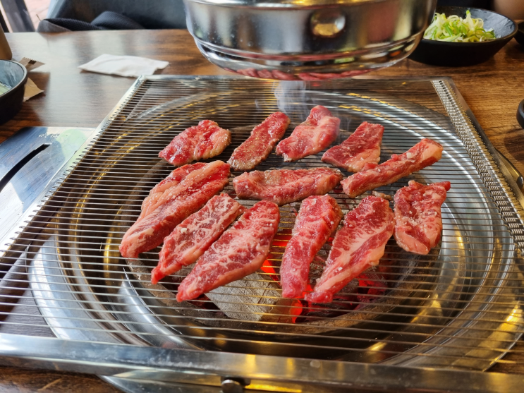  소갈비살 먹으러 갈꺼라 적어보는 소갈비살의 효능과 부작용