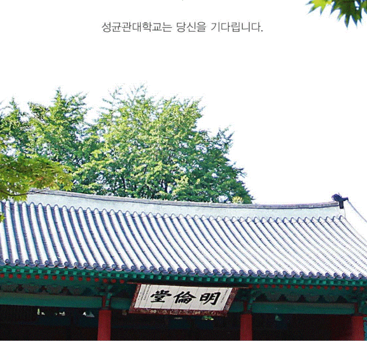 중국국적, 몽골국적 한국대학 외국인 특별전형, <b>성균관대</b>... 