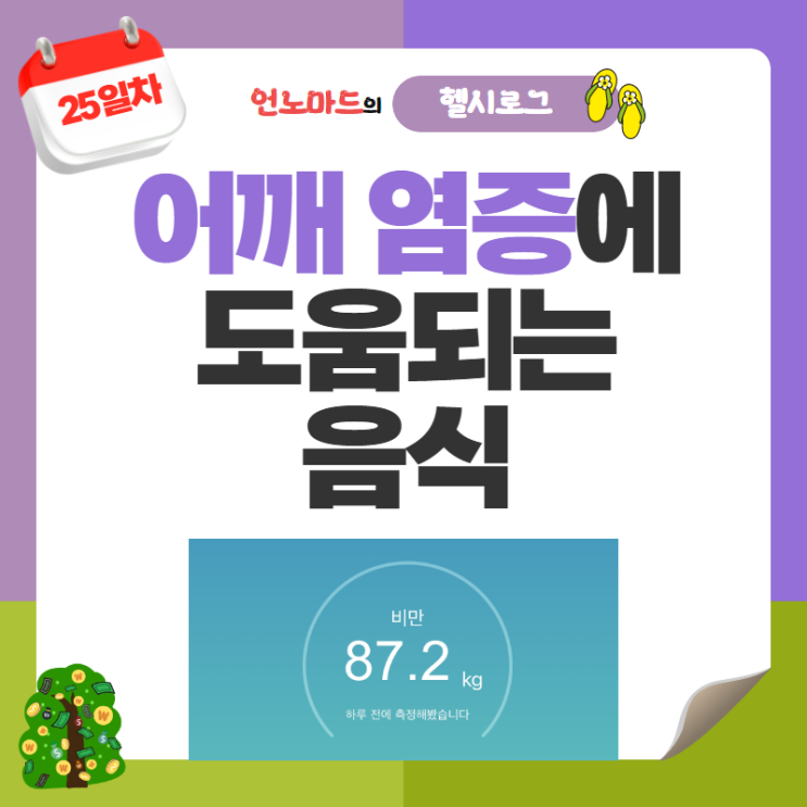  25일차, 어깨 염증에 도움되는 음식