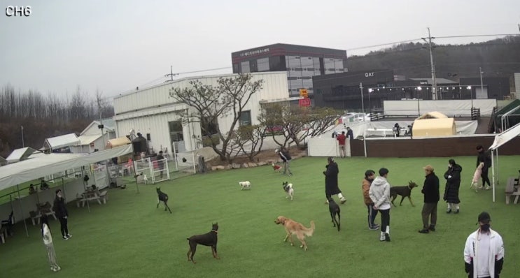  애견동반 바베큐장을 이용해봤어요.