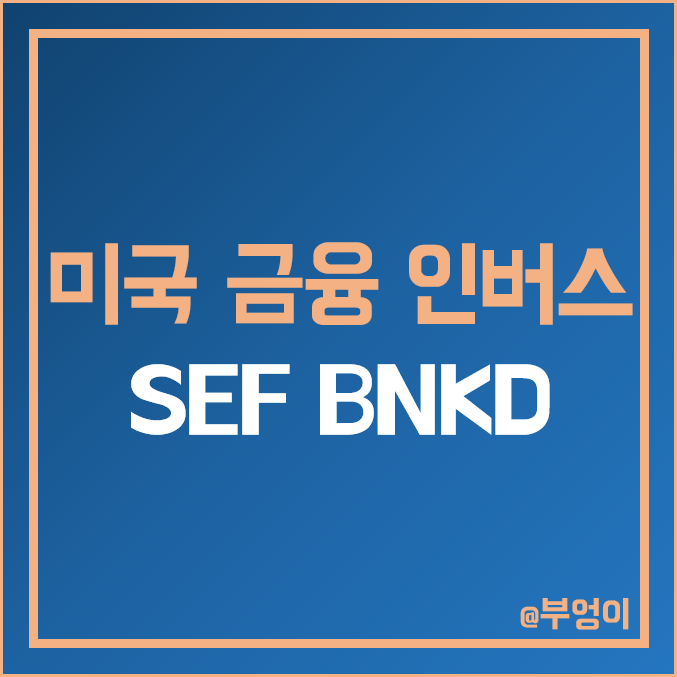 미국 은행주 및 금융주 인버스 ETF - SEF, BNKD 주가 및 액면 주식 병합 기록 (곱버스 관련주) 미국 은행주 및 금융주 인버스 ETF - SEF, BNKD 주가 및 액면 주식 병합 기록 (곱버스 관련주)