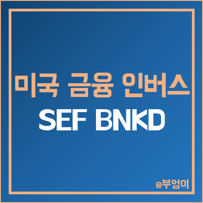 미국 은행주 및 금융주 인버스 ETF - SEF, BNKD 주가 및 액면 주식 병합 기록 (곱버스 관련주)