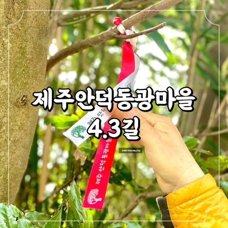  제주 4.3사건을 아시나요? 4.3사건 생존자 홍춘호 할머니와 함께 걷는, 제주안덕동광마을 4.3길 (무등이왓마을)