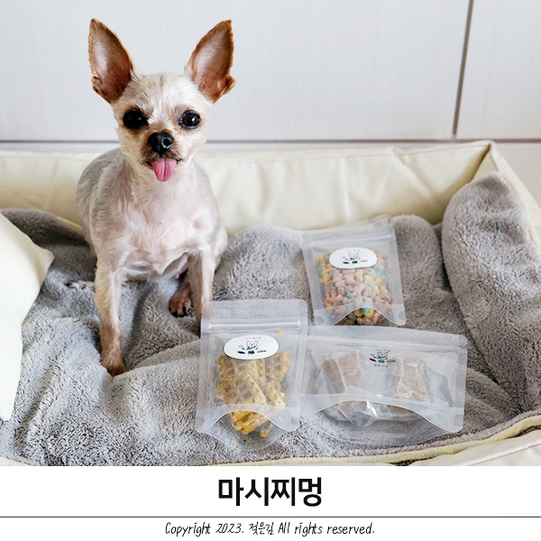 강아지수제간식 방이가 잘먹는 마시찌멍 강아지수제간식 방이가 잘먹는 마시찌멍