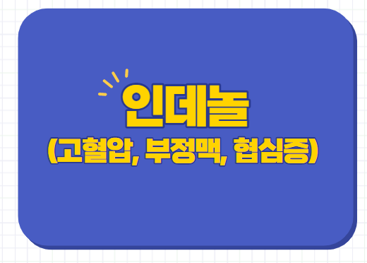 고혈압 협심증 인데놀정 10mg 40mg  효능 부작용