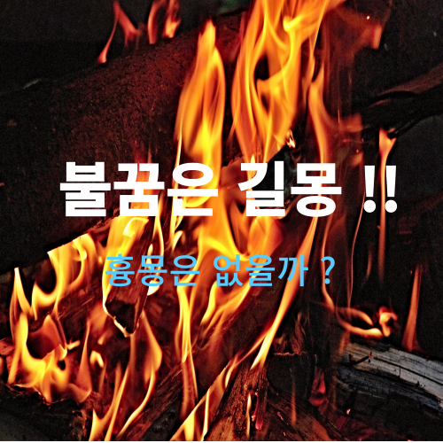  꿈에 불이 나오면 대부분 길몽이라고 하는데, 흉몽도 많아요!!(불 해몽 꿈 풀이)