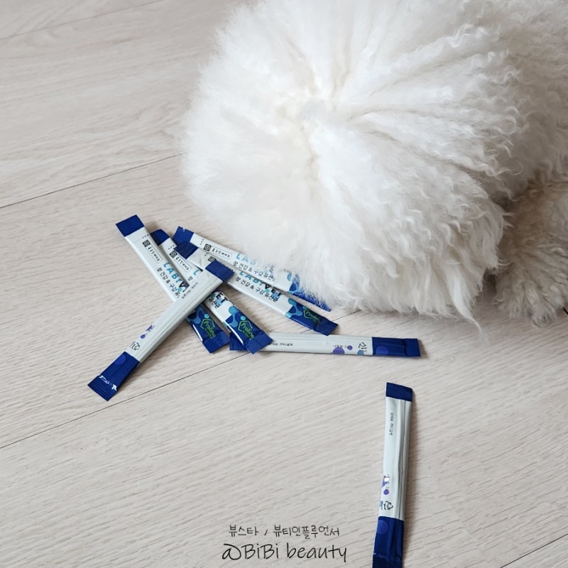 라비벳 종근당강아지유산균으로 강아지입냄새 치석 장 건강까지 한 번에 케어해요