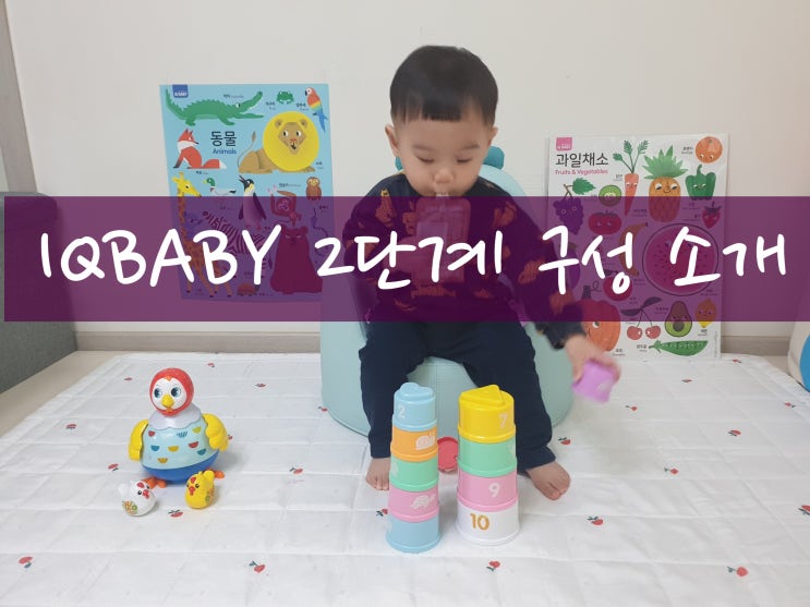  블루래빗 아이큐베이비 2단계 추천장난감 : 꼬꼬맘