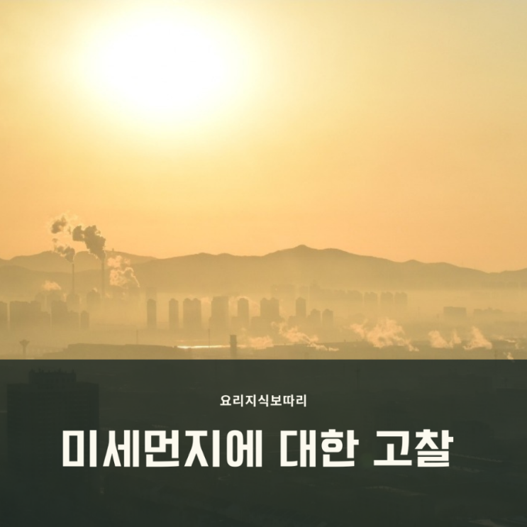 미세먼지, 황사 제거에 도움이 되는 음식에 대한 이야기 미세먼지, 황사 제거에 도움이 되는 음식에 대한 이야기