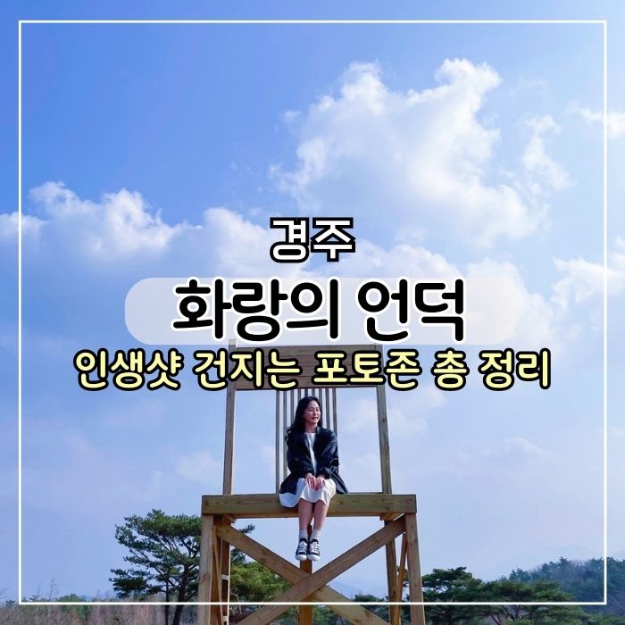  [경주 여행] 경주 가볼만한곳 화랑의 언덕 포토존 꿀팁 총정리