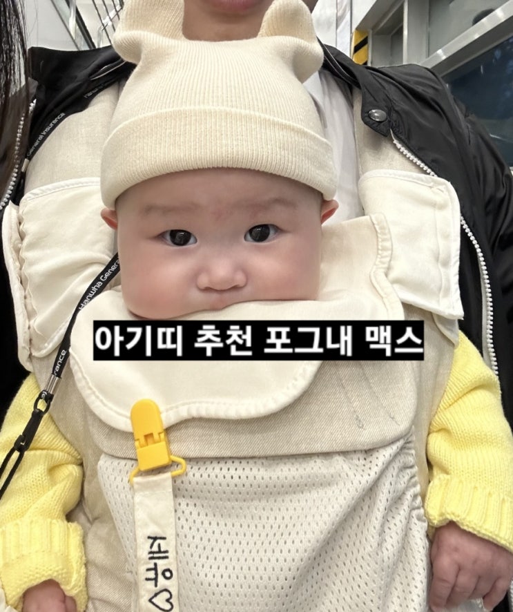  포그내 맥스 라이트 6개월 이후 아기띠 솔직후기
