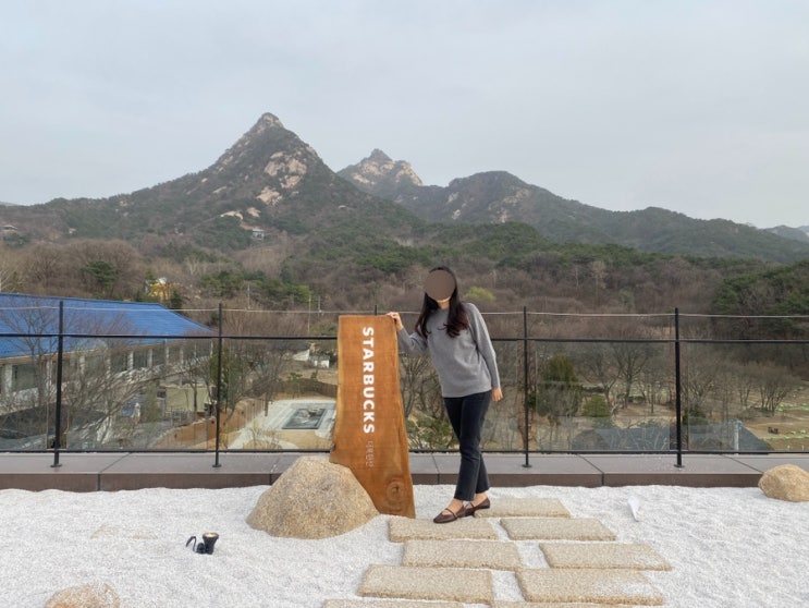  북한산 스타벅스 더북한산점 봄맞이 드라이브 주차 팁