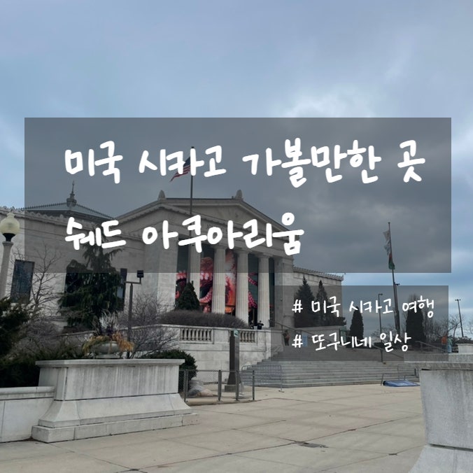  미국 시카고 여행] 아이들과 함께 가볼만한 곳, 쉐드 아쿠아리움 shedd aquarium 후기