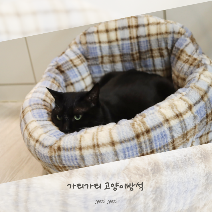  가티가티 폭신한 고양이 방석 후기
