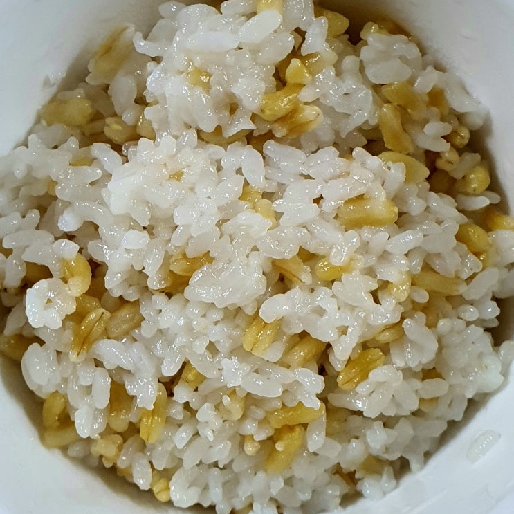  카무트  쌀 효능 밥 짓는 법 호라산 밀 칼로리 알아봐요