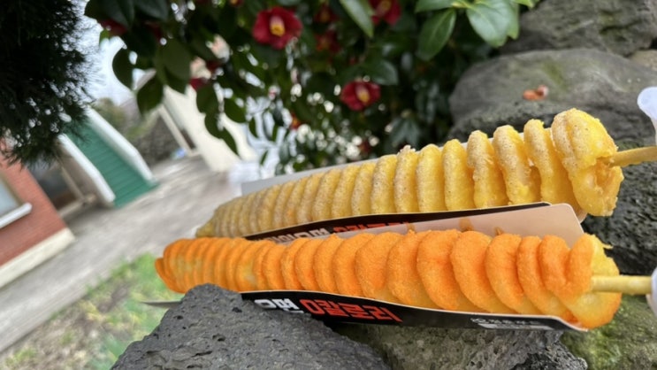  회오리감자 맛 다 아시죠?