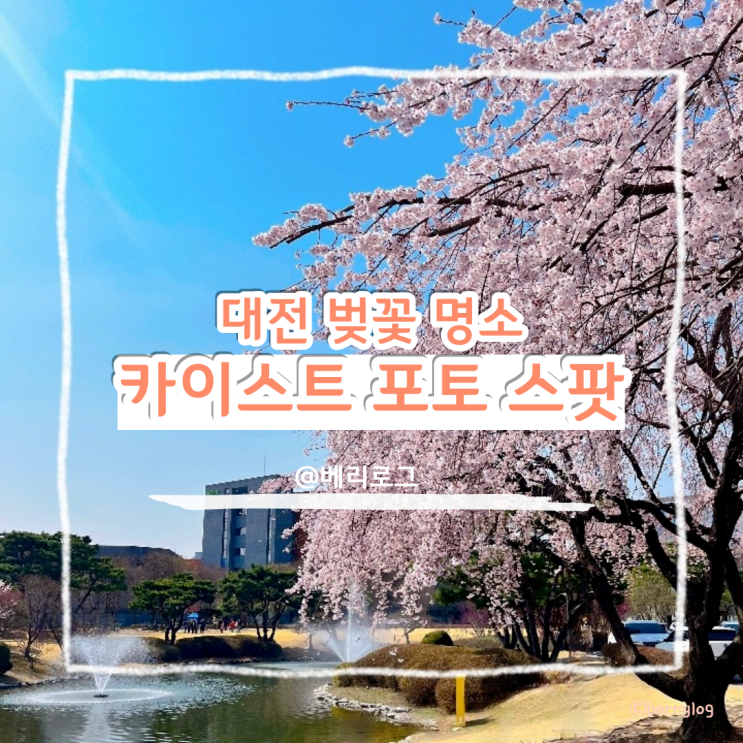  대전 벚꽃 명소 실시간 카이스트 개화 상태와 오리연못, 목련 마당, 어은동산 포토 스팟 추천
