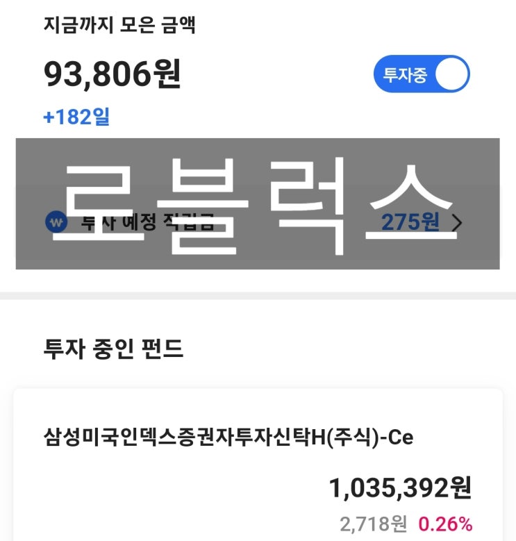  아들 생일 선물. 로블럭스.