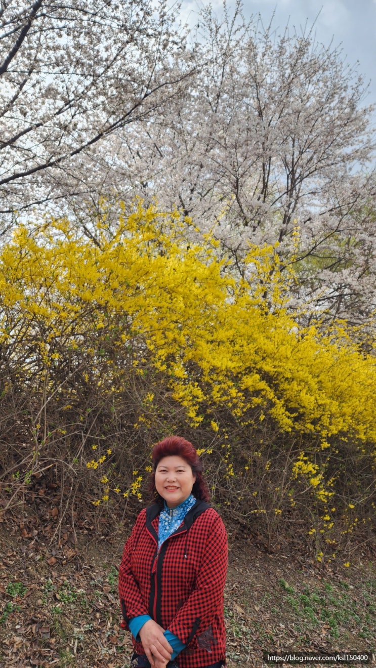 2023 우리 동네 벚꽃길 걷다 2023 우리 동네 벚꽃길 걷다
