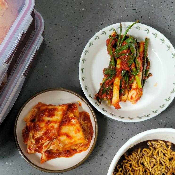 선화동매운실비김치 매운김치로 유명한 진짜 실비파김치 선화동매운실비김치 매운김치로 유명한 진짜 실비파김치
