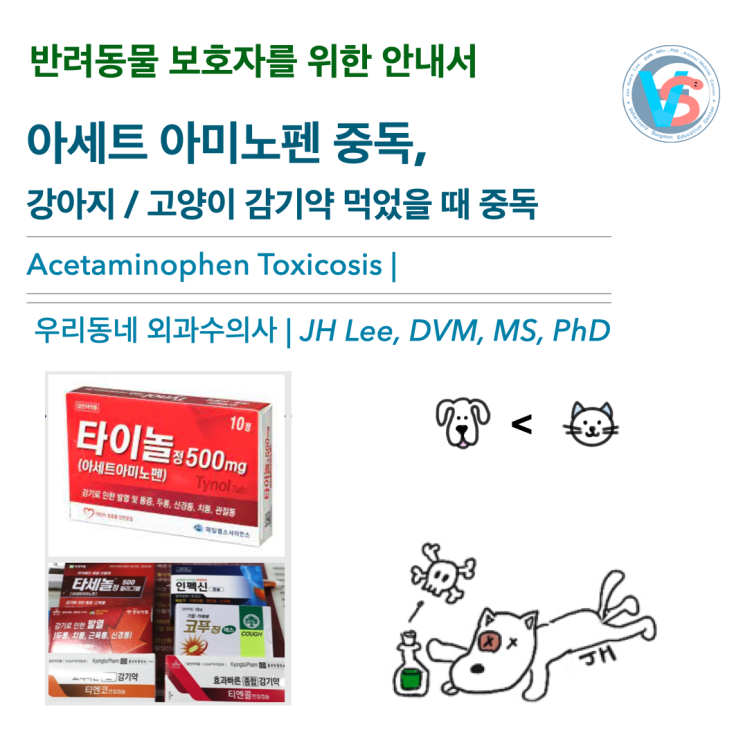  [동물병원안내서] 반려동물이 감기약을 먹었어요!! 아세트 아미노펜 중독