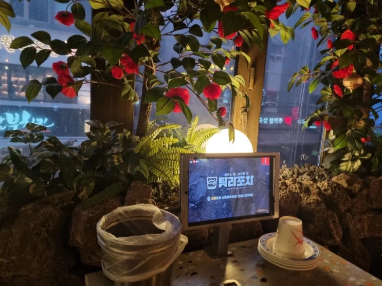  [잠실새내역 맛집] 제주도 감성 넘치는 술집 탐라포차 내돈내산 후기