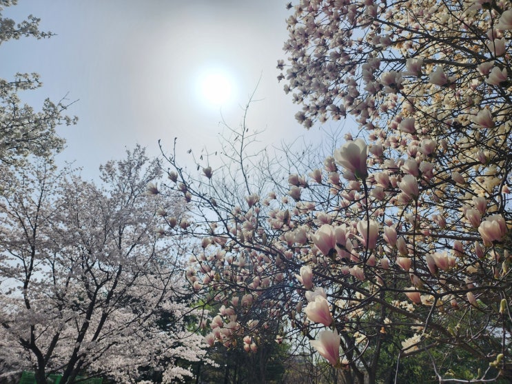  국토안전관리원/옹벽 유지관리 매뉴얼 중에서 보강토 에 대한 상태평가 항목 및 기준 발취