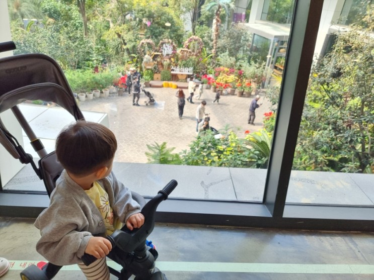 22개월 아기와 함께 서울식물원 온실 주말나들이