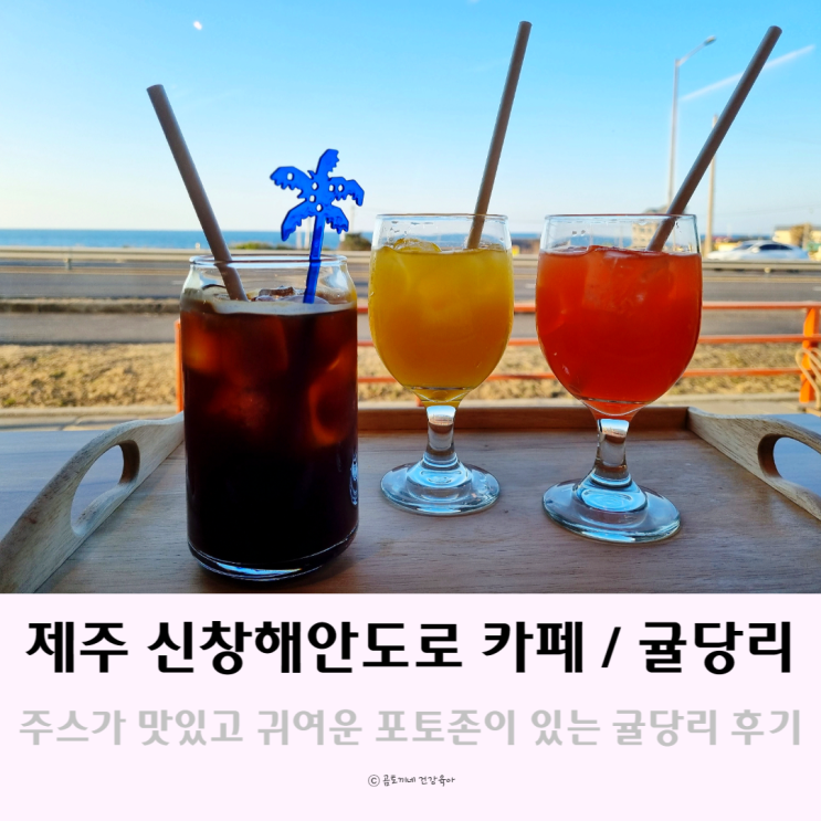 제주도 한경면 가볼만한곳 신창풍차 해안도로 드라이브 중 방문한 카페 귤당리 제주도 한경면 가볼만한곳 신창풍차 해안도로 드라이브 중 방문한 카페 귤당리