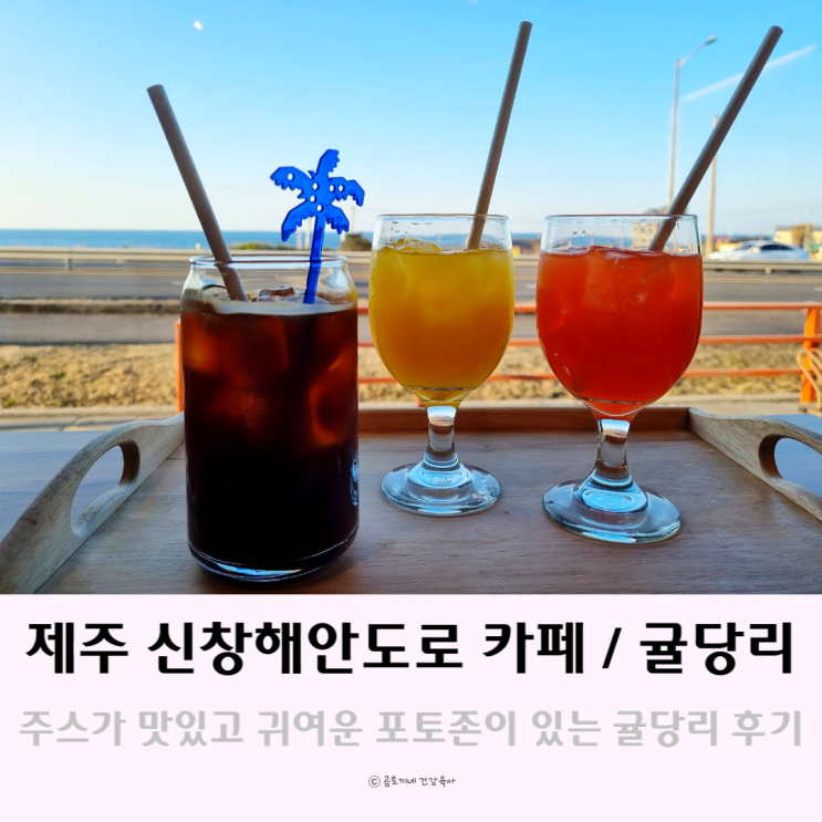 제주도 한경면 가볼만한곳 신창풍차 해안도로 드라이브 중 방문한 카페 귤당리