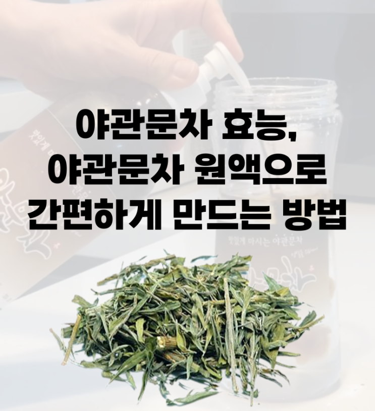 야관문차 효능 야관문원액으로 차 간편하게 만드는 방법