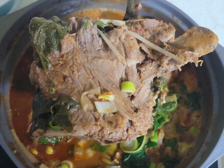  [대전 대흥동 맛집] 타향골, 따귀탕 뼈다귀해장국 밀키트
