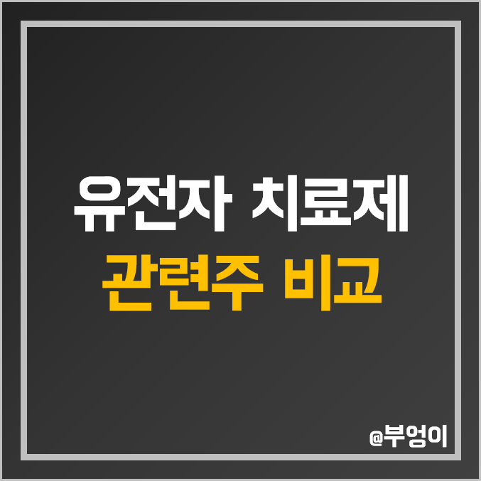 국내 유전자 치료제 관련주 비교 : 신테카바이오 지노믹트리 코오롱생명과학 신라젠 씨젠 셀레믹스 마크로젠 제놀루션 헬릭스미스 랩지노믹스 소마젠 툴젠 녹십자 제넥신 바이오니아 주가