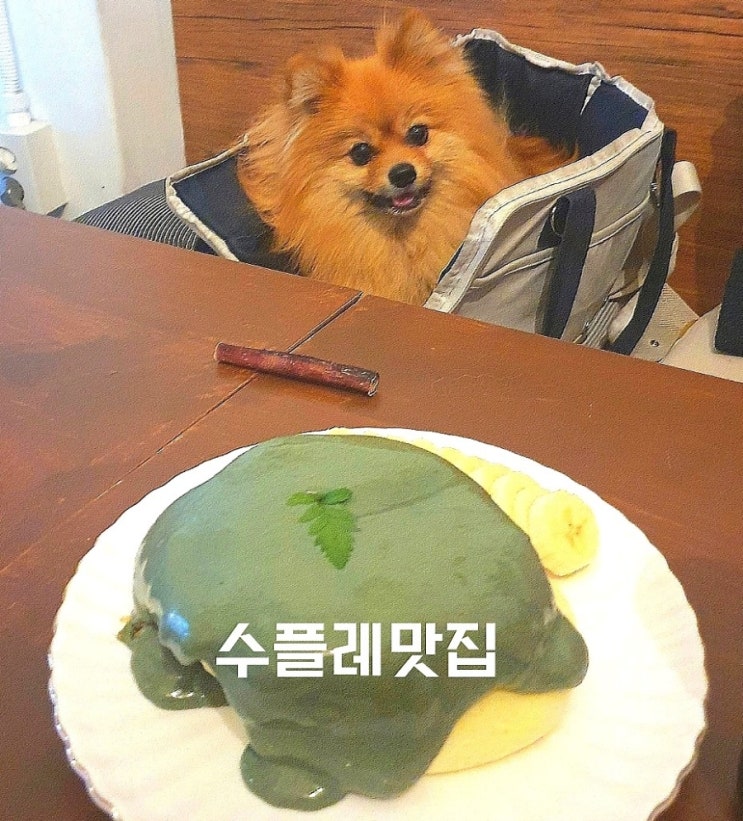  주말나들이 목동애견동반카페 목동숨은맛집 카페일월십일 애견동반식당 목동수플레 목동카페 목동크로플