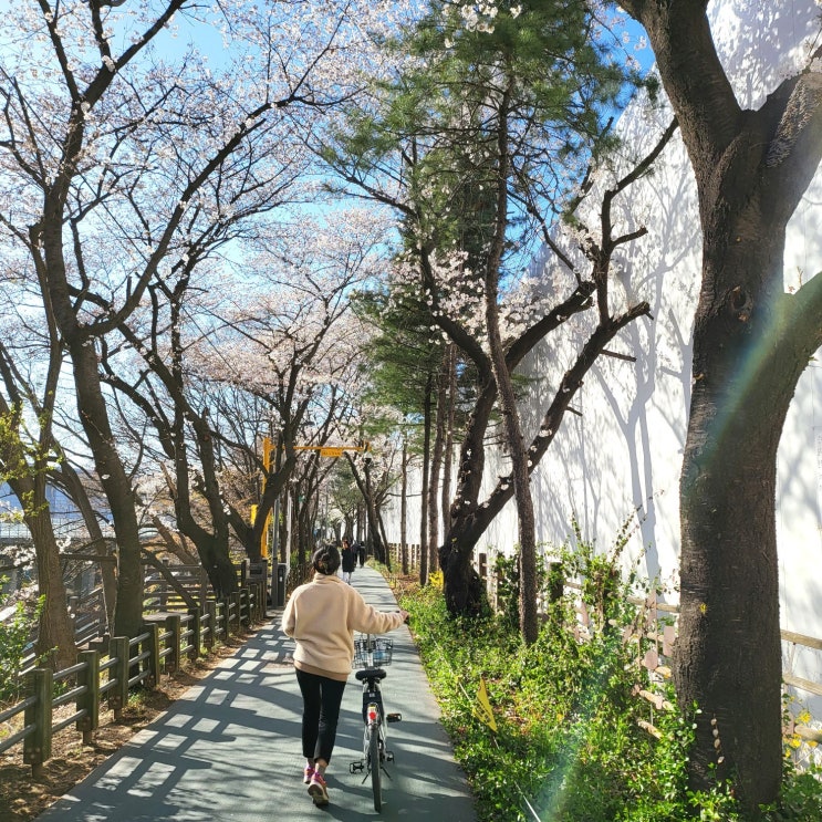  3.20-3.26 이번주 일상