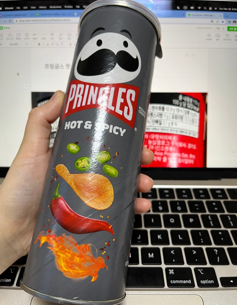 프링글스 핫 앤 스파이시 (매운맛) 내돈내산 후기