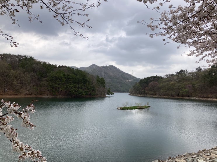  금정구~회동수원지 갈맷길 8-1코스 산책 (땅뫼산 황토길 건너편 방향)