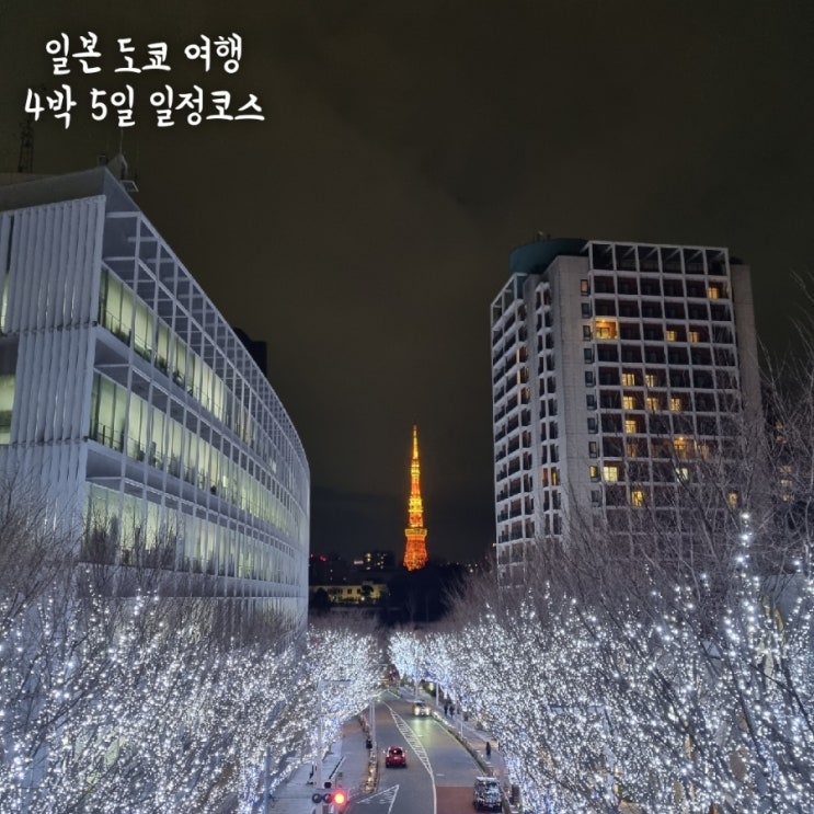  일본 도쿄 여행 4박 5일 자유여행 일정 여행코스 총정리 (시부야스카이, 가마쿠라, 디즈니랜드, 아사쿠사)