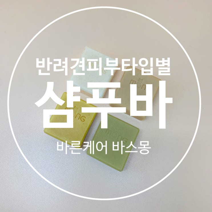  강아지 샴푸, 대신 반려견 피부타입별로 골라쓰는 샴푸바