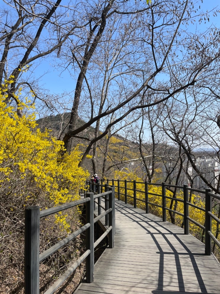  서울산추천 서대문구 안산 봉수대 2번째 등산 !