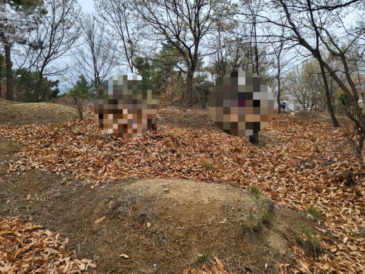  2023년 대구시 달성군 화원 수목장안치 고인돌장묘개발장의사 #2023년윤달 #윤달 #윤달이장 #윤달화장 #김천윤달 #구미윤달 #상주윤달 #성주윤달 #선산윤달 #달성군장의사