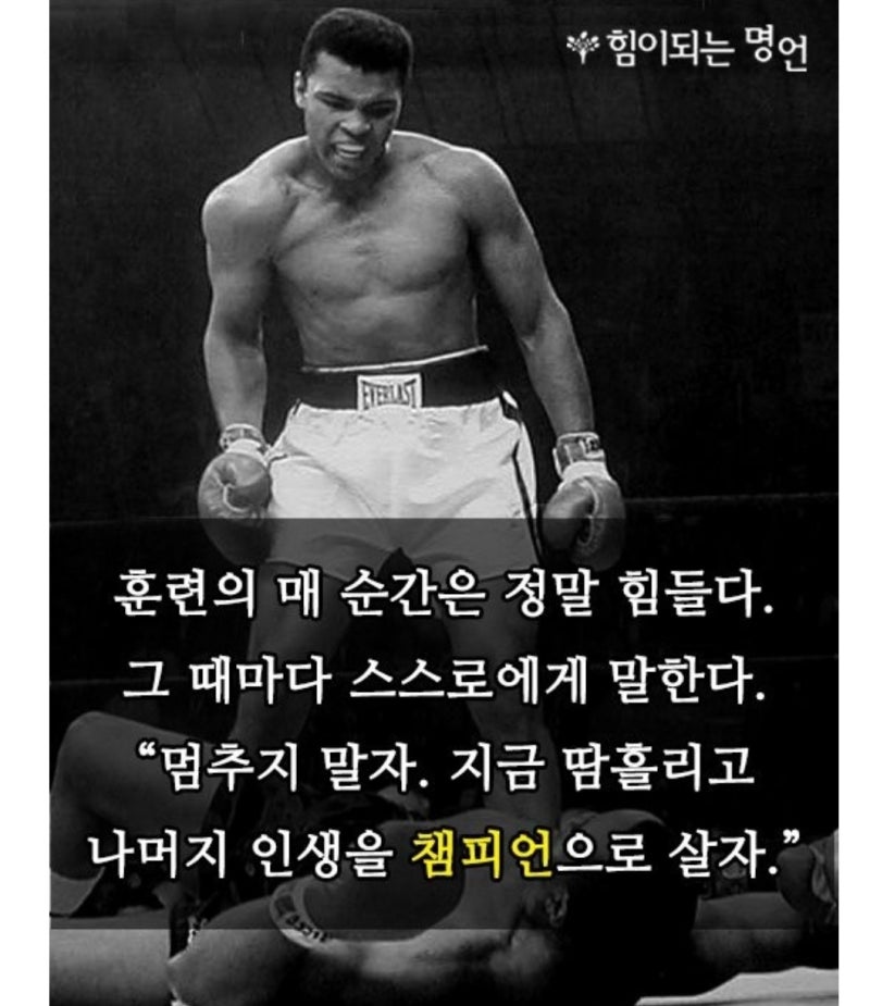 권투선수 무하마드 알리 명언