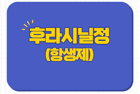  씨제이 후라시닐정 질염 방광염 항생제 부작용 술