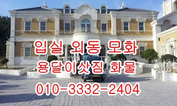 외동 모화용달 입실 불국사 보문 경주 용달 운송. 외동 모화용달 입실 불국사 보문 경주 용달 운송.
