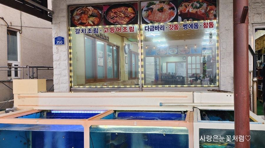 삼번지횟집 사진 6