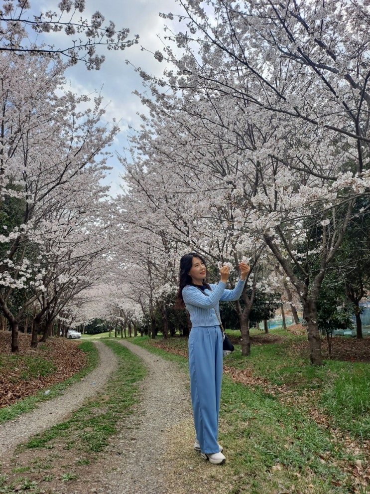 83일차 운동 기록