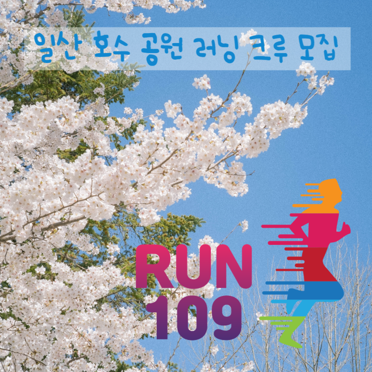  일산 호수 공원 러닝 크루 모집합니다!!