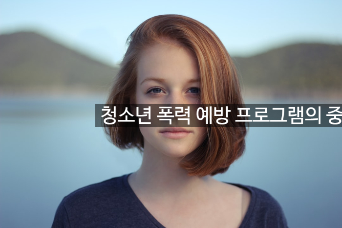  청소년 폭력 예방 프로그램의 중요성