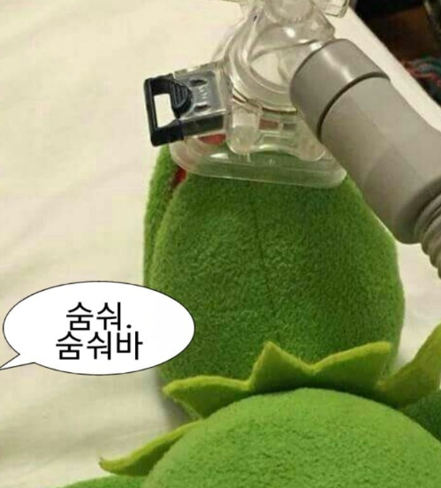  [230324] 주짓수 36회차